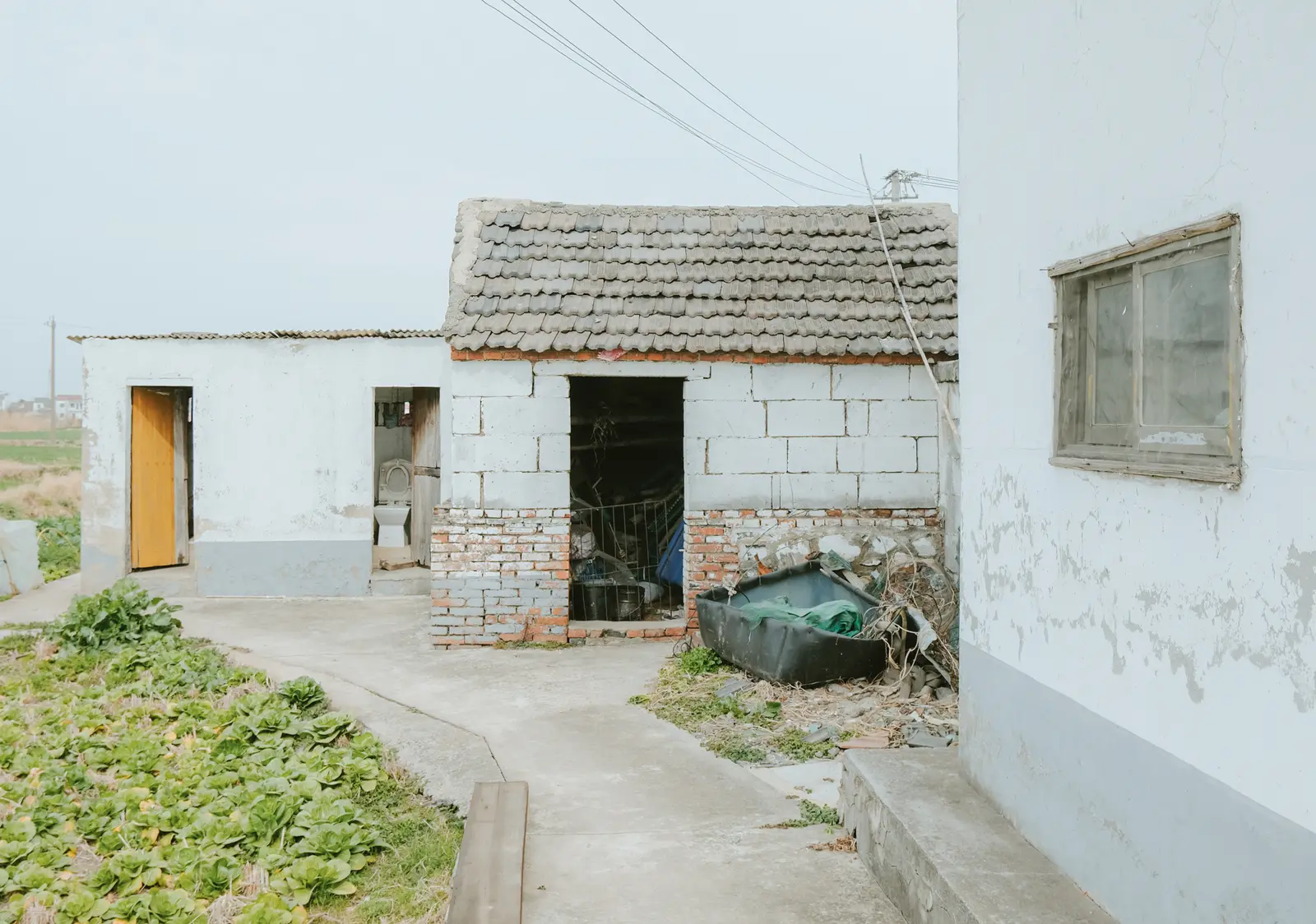 009 3e187224